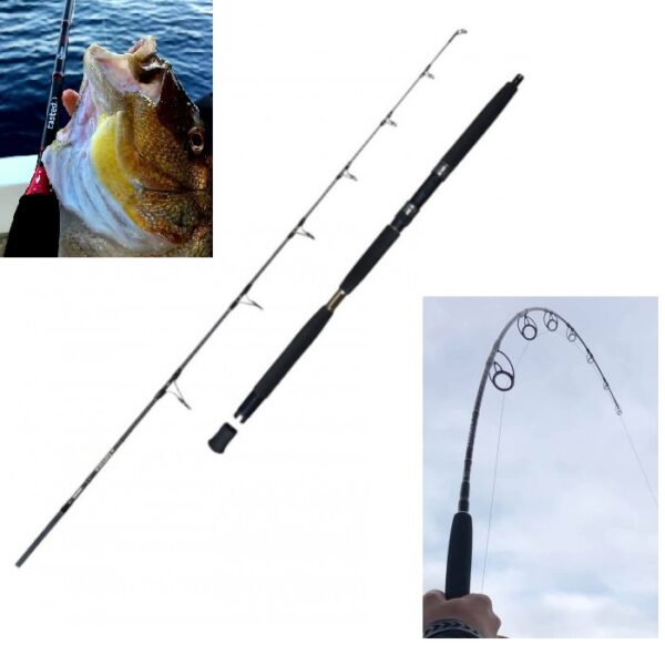 CASTED Clipper Spin 198cm 70-140g 1+1sec