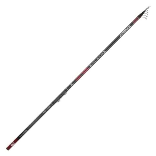 DAIWA 19 Ninja Bolognese 500cm