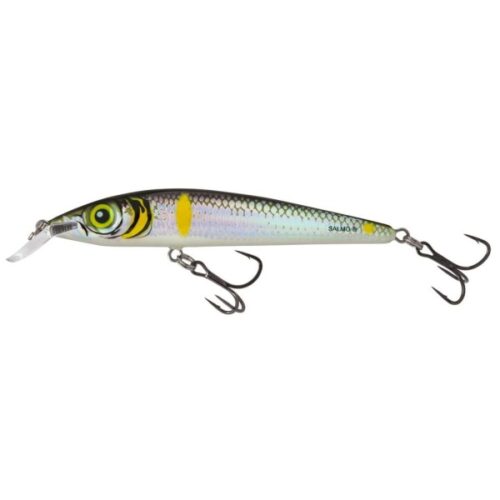 SALMO Rattlin Sting 9cm 11gr Smelt