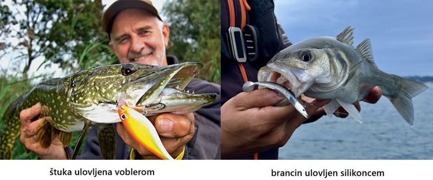 Primjeri riba ulovljenih spinning tehnikom sa umjetnim varalicama