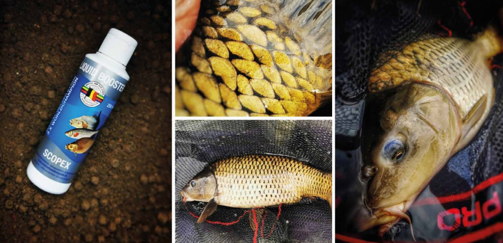 Primjena VDE boostera i ulov ribe u feeder ribolovu