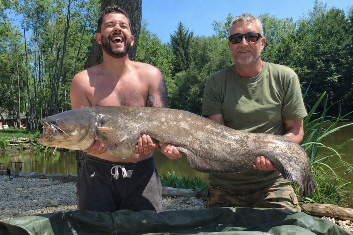 ribolov soma dva sretna ribolovca koji su ulovili soma